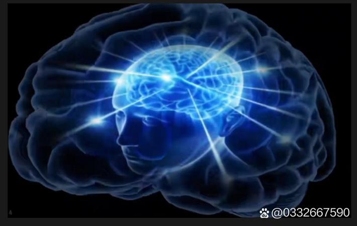 某头部科技企业